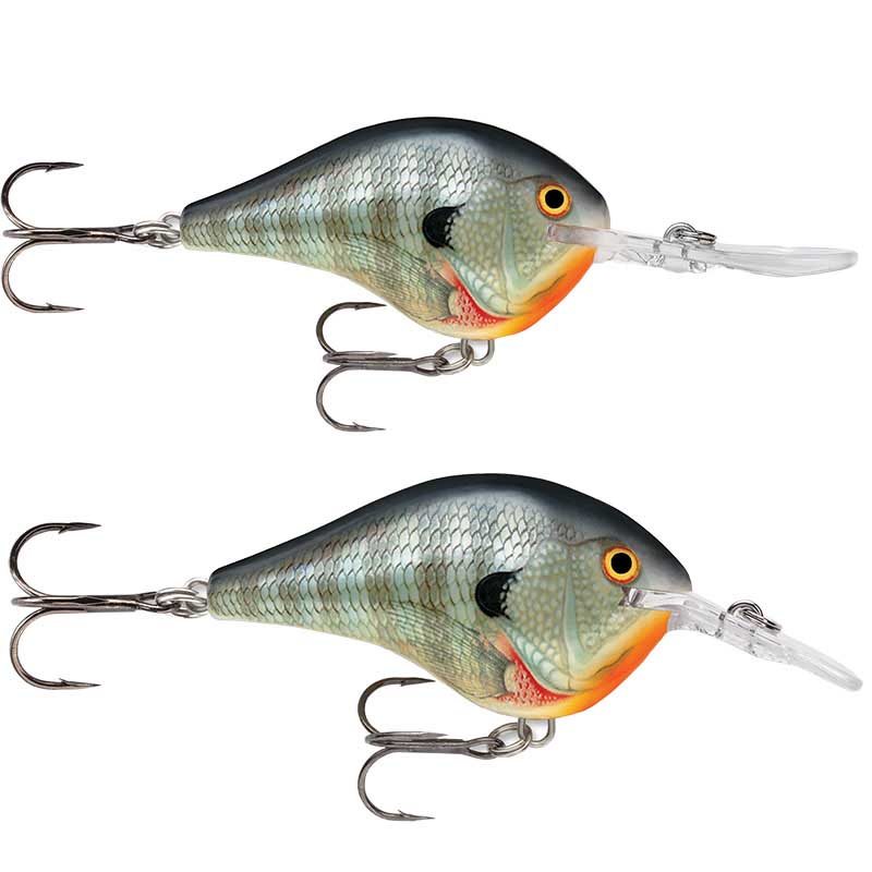 Rapala DT6 and DT10 Series Cranbait Combo Pack